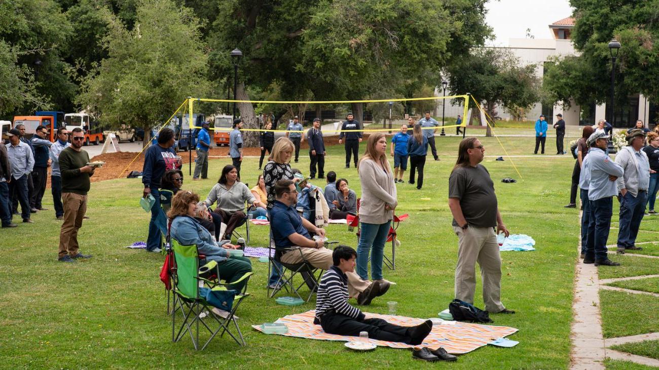 People sitting and standing on grass