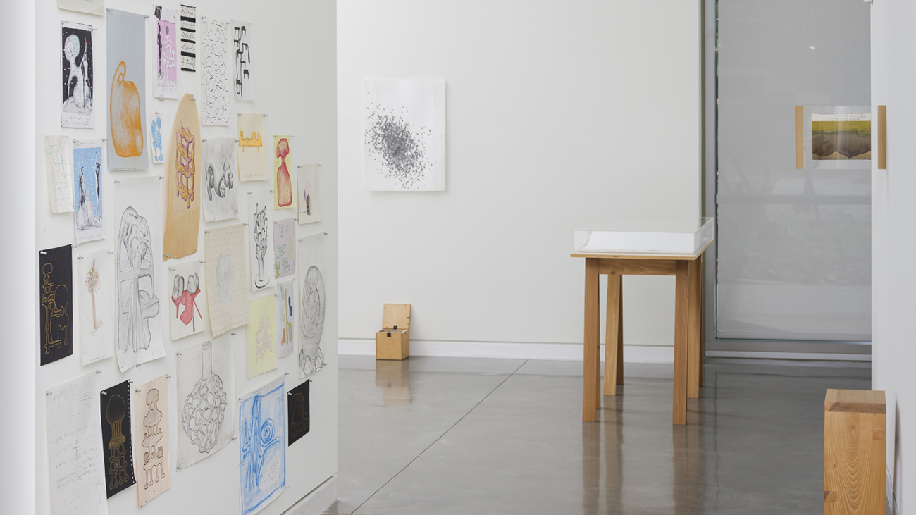 Installation view