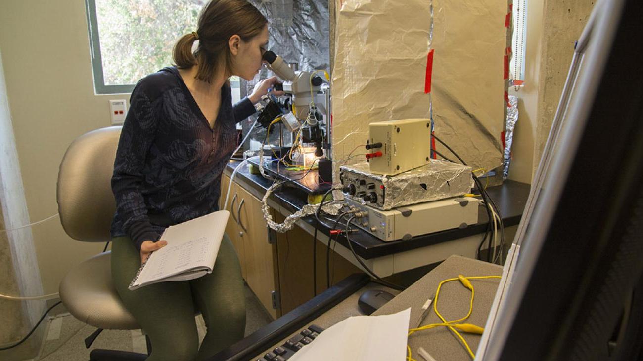 Summer research in Professor Karen Parfitt’s lab